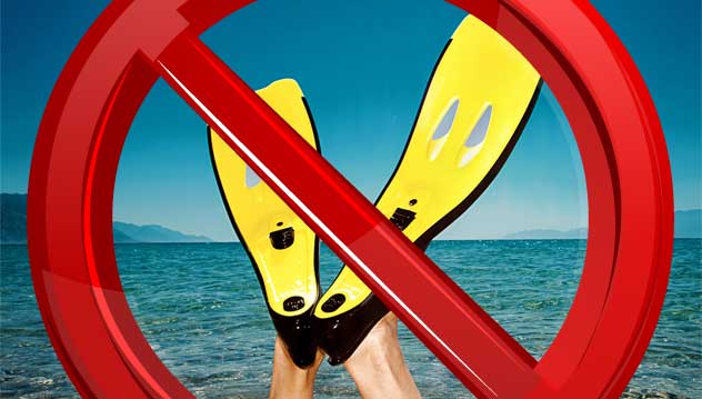 flippers