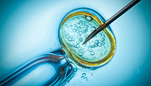 Fertilisation in vitro