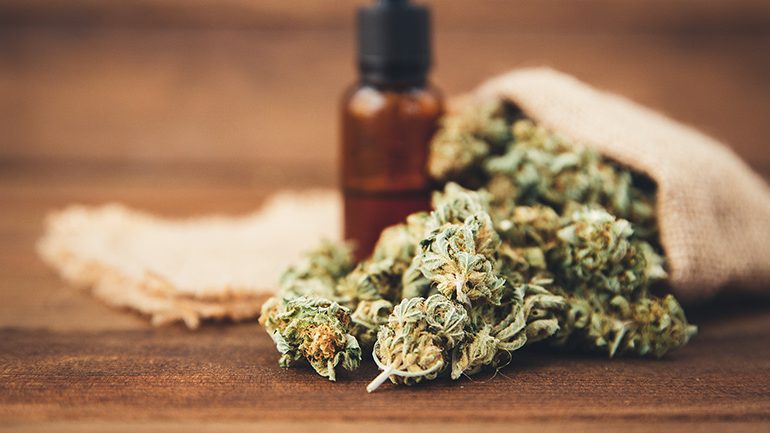 La Consommation De Cannabis Et Le Travail Avant Et Apres La Legalisation Jobboom